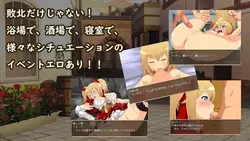 Meria's Adventure ～フェスティ・アドベンチャー～ ゲーム画像: img3.webp