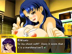 imagen del juego Misato Training Plan: img1.webp