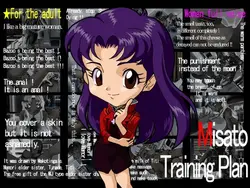 Ausbildungsplan von Misato