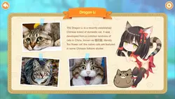 imagem do jogo Miss Neko 2: img3.webp