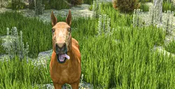 Mothers Village: Camping Day game image: img3.webp