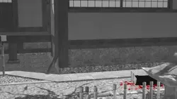 私の新しい第二のチャンス ゲーム画像: img8.webp