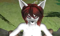 My Vr Furry: Oculus/ Meta 裂缝和查询