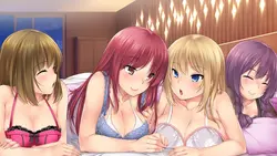 Negligee: スプリングクリーンプレリュード ゲーム画像: img3.webp
