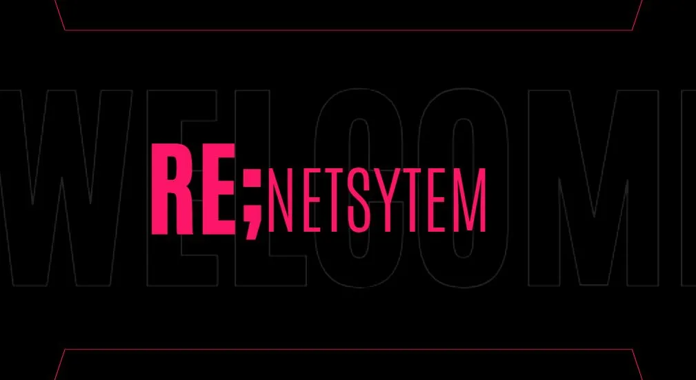 NetSystem main image