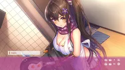 NinNinDays game image: img1.webp
