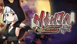 Ordonnance sur les ninjas