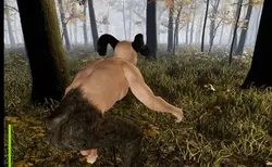 Nymphen-O Spielbild: img0.webp