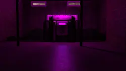 鳥と蜂の ゲーム画像: img3.webp