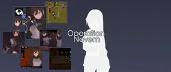 Operação Novem