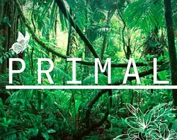 Primaire