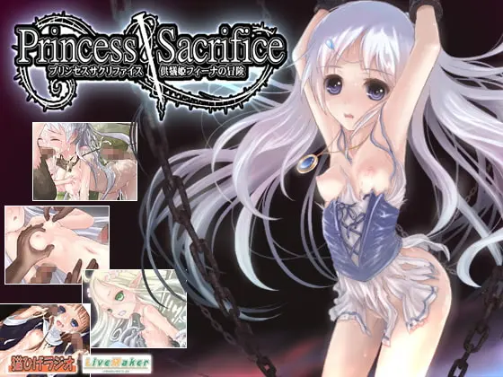 Princess Sacrifice: Adventure of Feena main image