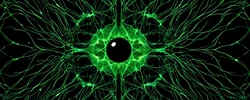 Project Hivemind game image: img4.webp