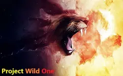 Projet Wild One