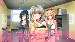 imagem do jogo Real Eroge Situation! 2: img3.webp