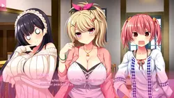 imagem do jogo Real Eroge Situation! 2: img8.webp