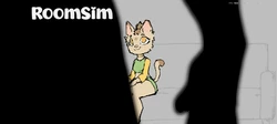 房间Sim