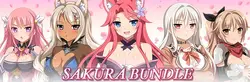 Collection des Jeux de Sakura