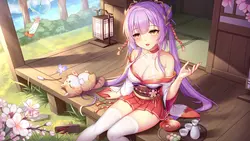Sakura Hime 4 Spielbild: img1.webp