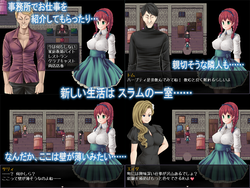 Sally's Authorative Report on Illegal Prostitution game image: img0.webp
