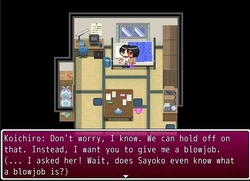 Sayoko -The Summer we Wished Upon the Stars- game image: img0.webp