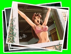 imagen del juego Shuusaku - DVD-ROM Edition: img7.webp