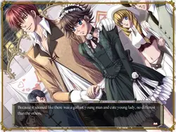 Silver Chaos Fan Box -Eternal Fantasia- game image: img2.webp