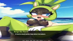 ソニックアドベンチャーxxx ゲーム画像: img4.webp