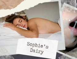 Sophie's Diary game image: img0.webp