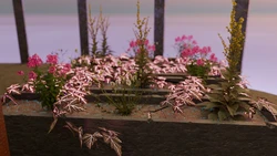 imagen del juego Soulspire: img3.webp