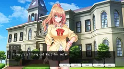 姉妹をストーキング - のぞきの重複キー ゲーム画像: img9.webp