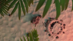 Stranded & Naked game image: img5.webp