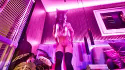 Stream Star - Sensations Spielbild: img2.webp