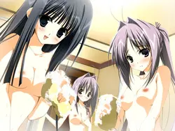 imagen del juego Subarashiki Hibi ~Furenzoku Sonzai~ (Wonderful Everyday): img15.webp