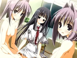 imagen del juego Subarashiki Hibi ~Furenzoku Sonzai~ (Wonderful Everyday): img38.webp