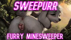 Sweepurr