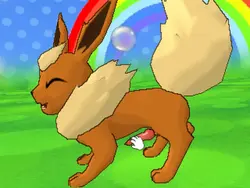 imagen del juego Pokémon-Amie de Tay Ferret: img2.webp