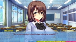 Tenioha! 2 ~Nee, Motto Ecchi na Koto Ippai Shiyo?~ game image: img0.webp