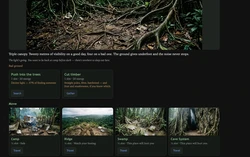 The Hunt game image: img2.webp
