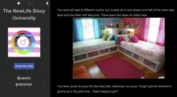 The NewLife Sissy University game image: img0.webp