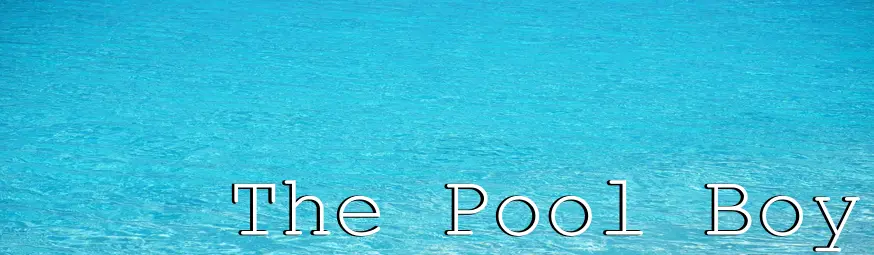 The Pool Boy main image