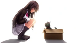 王女、聖猫、そして心のマター