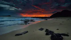 imagem do jogo A Spinney: img0.webp