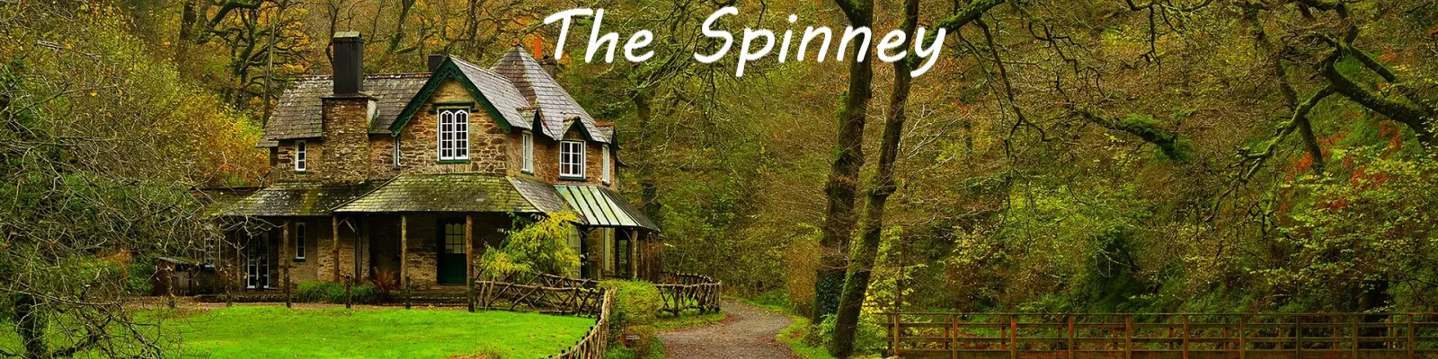 The Spinney main image