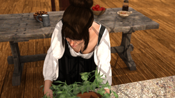 image de jeu Le porteur d'épée: img0.webp