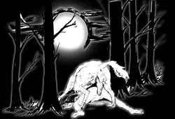 imagen del juego Transilvania: img2.webp