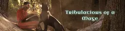 Tribulaciones de un Mago