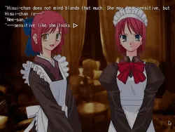 Tsukihime game image: img5.webp