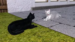 Tubby - キャタベンチャー ゲーム画像: img2.webp