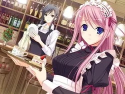 image de jeu Walkure Romanze ~Shoujo Kishi Monogatari~: img3.webp